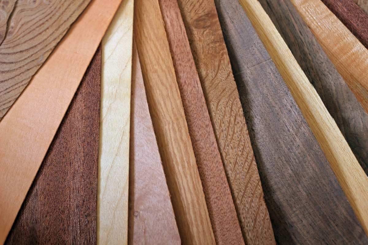 Complete Guide to Guitar Tonewoods: Sound Impact, Properties, and Aesthetics