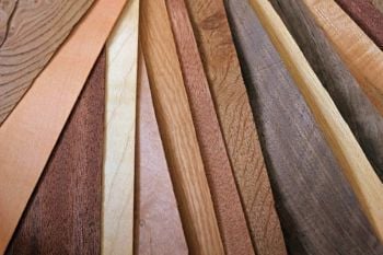 Guide Complet des Essences de Bois pour Guitares