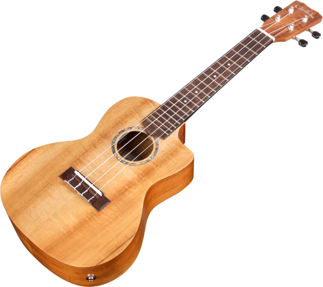 Cordoba 28C-CE Concert Cutaway Ukulele Hawaiian Koa