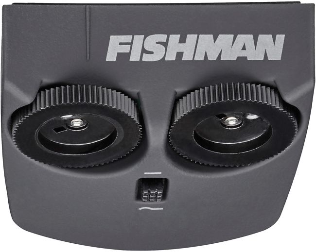 Fishman Matrix Infinity Mic Blend with wide format pickup