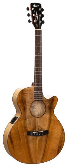 CORT SFX-Myrtlewood Acoustic Guitar, Music Depot