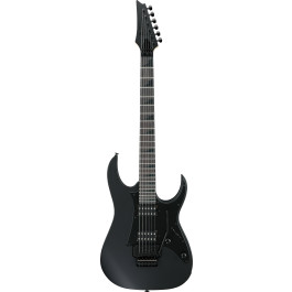Ibanez GRGR330EXBKF - RG Gio 6-String Floyd Rose | Musique Dépôt