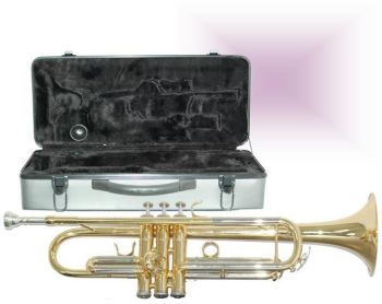 Achat/Vente Plus - Instruments à vent Sourdine wah wah vintage pour  trompette - Rockstation