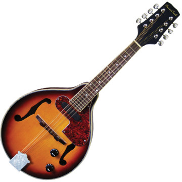 BeaverCreek Mandolin Electric