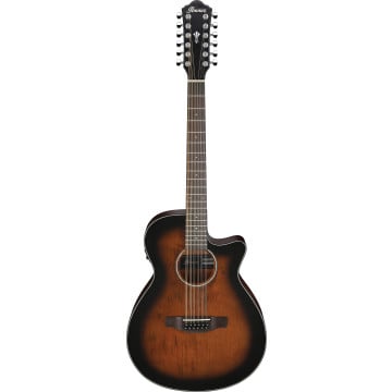 Ibanez AEG5012 Acoustic-electric Guitar 