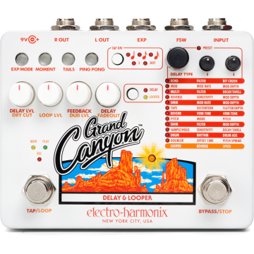 Electro Harmonix GRAND CANYON Delay & Looper, 9.6DC-200 PSU inclus