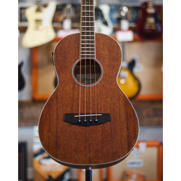 Ibanez PNB14E - Open Pore Natural Acoustic-Electric Bass
