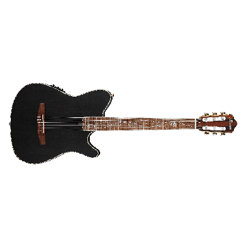 Ibanez Tim Henson Signature Nylon Guitar - Transparent Black Flat