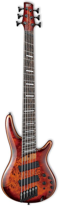 SRMS806 BTT 6 Strings Bass Workshop Electric Bass Guitar Musique