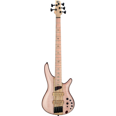 Ibanez BTB Series Workshop 5 String Electric Bass Guitar