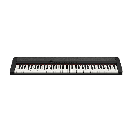 Casio WK-245 - 76-Key Workstation Keyboard | Musique Dépôt Musique