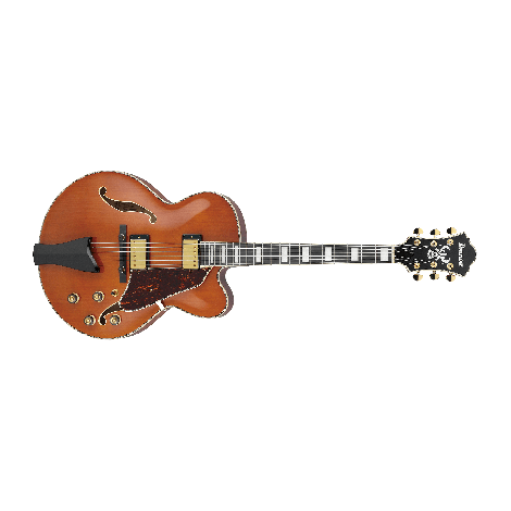 Ibanez AG95QA-DBS - Hollow Body Jazz Guitar | Musique Dépôt