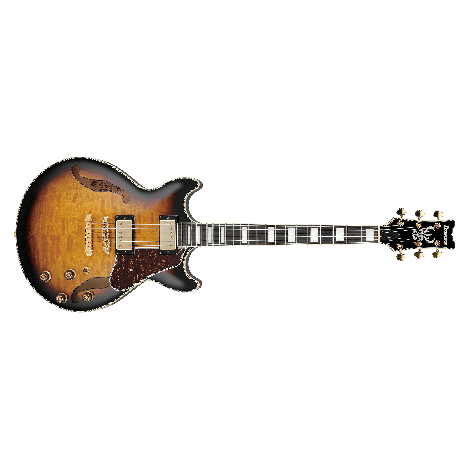 Ibanez AG95QA-DBS - Hollow Body Jazz Guitar | Musique Dépôt