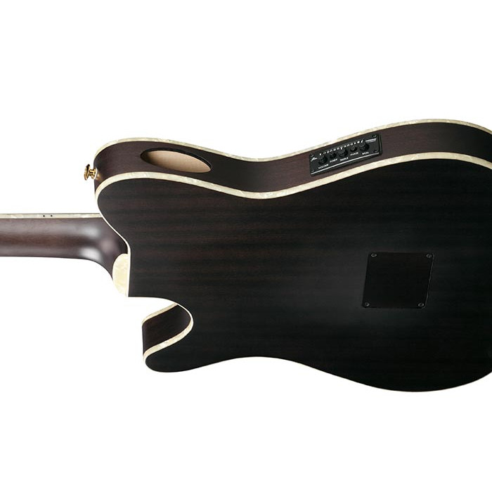 Ibanez TOD10N Tim Henson - Nylon Guitar | Musique Dépôt Musique Dépôt
