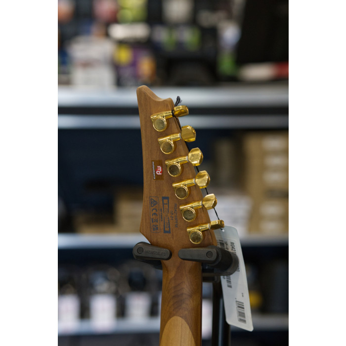 Ibanez RG421HPFM Flame Maple Blue Reef | Musique Dépôt Musique Dépôt