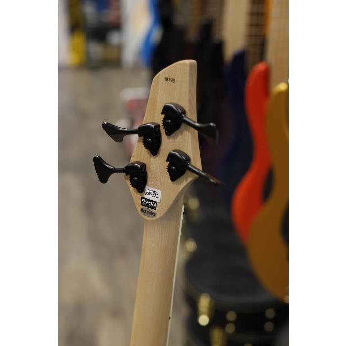 Dingwall NG3 Nolly Getgood 4-String — Multi-Scale | Musique