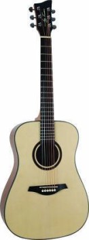 Jay Turser Guitars